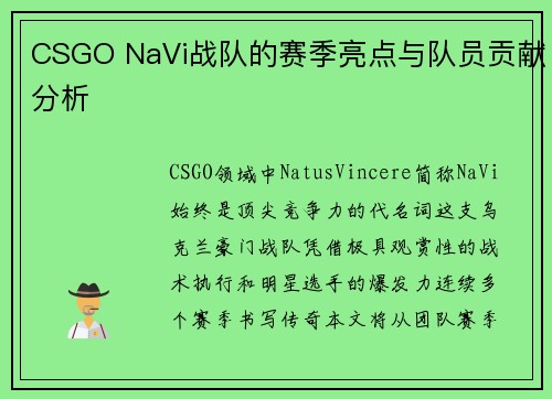 CSGO NaVi战队的赛季亮点与队员贡献分析